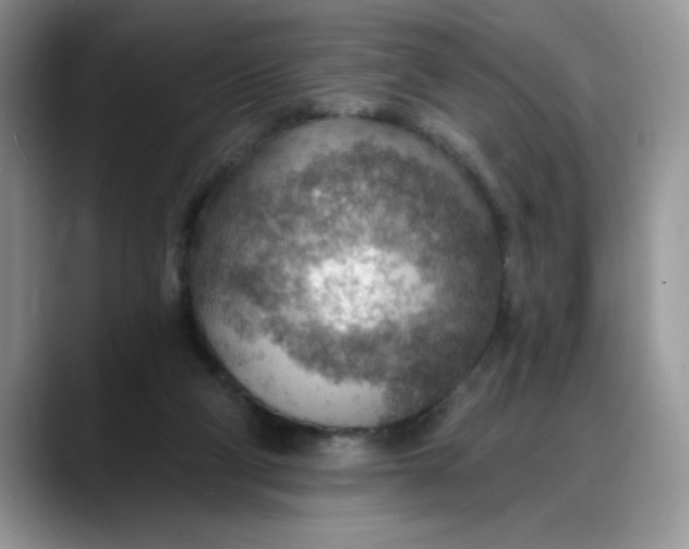 X0000088160114200705291919