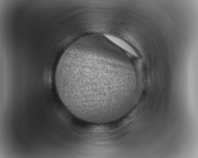 X0000088160115200705291919
