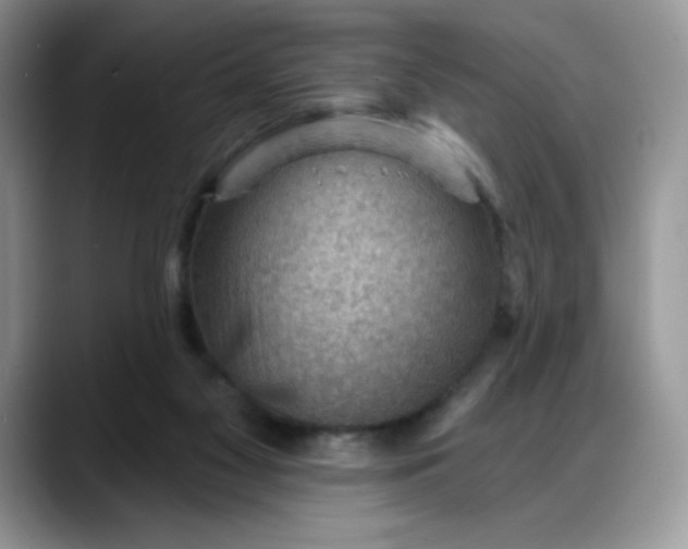 X0000088160117200705291919