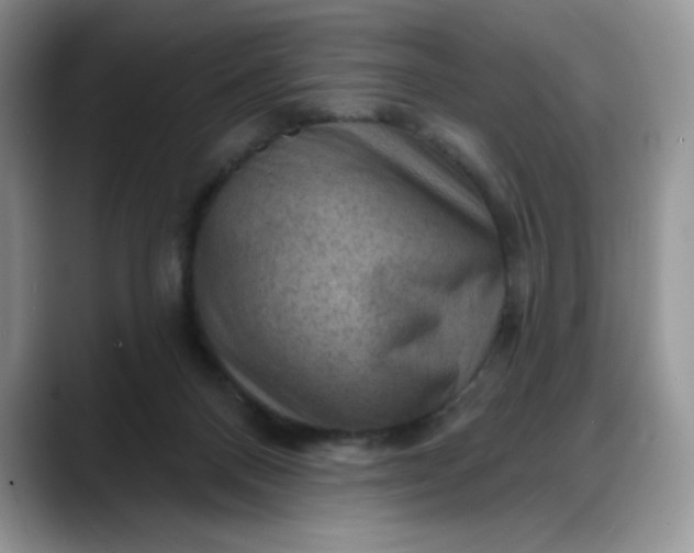 X0000088160120200705291919