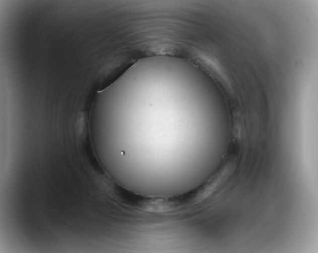 X0000088160121200705291919