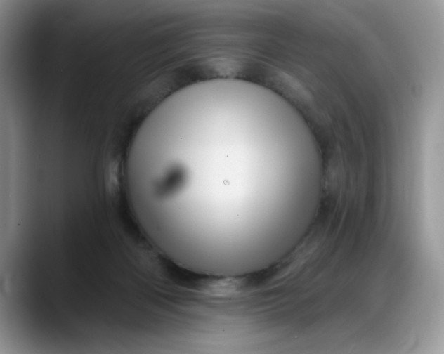 X0000088160122200705291919