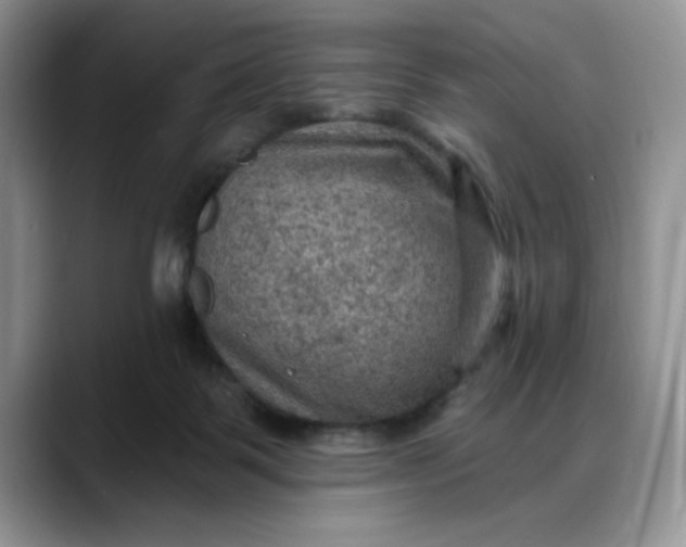 X0000088160123200705291919
