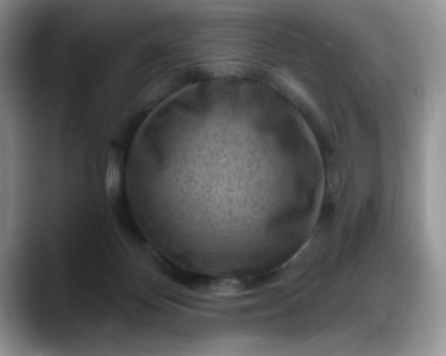 X0000088160124200705291919