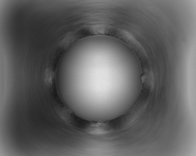 X0000088160125200705291919