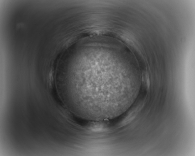 X0000088160127200705291919
