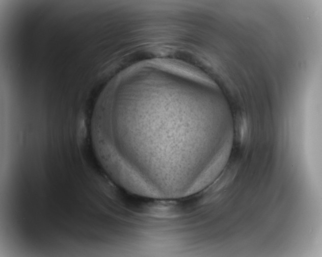 X0000088160128200705291919