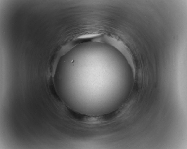 X0000088160129200705291919
