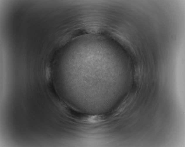 X0000088160130200705291919