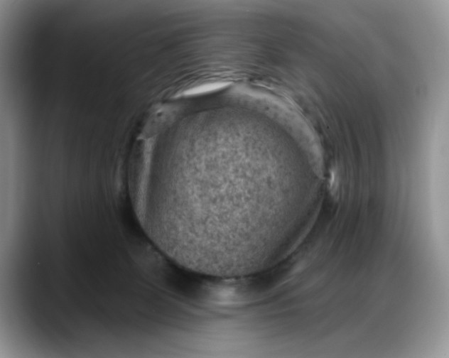 X0000088160131200705291919