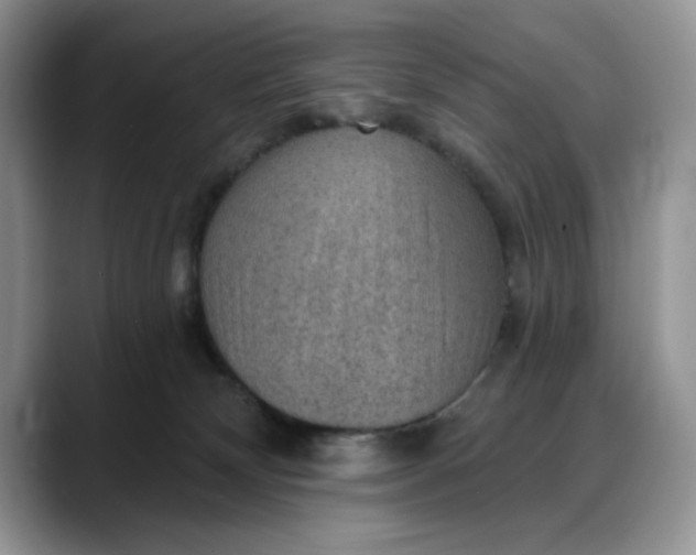 X0000088160132200705291919