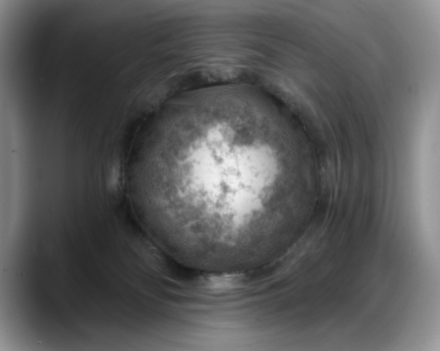 X0000088160134200705291919