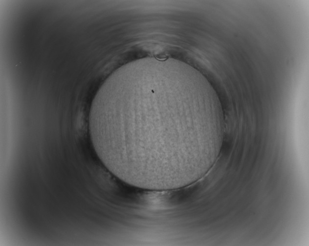 X0000088160136200705291919
