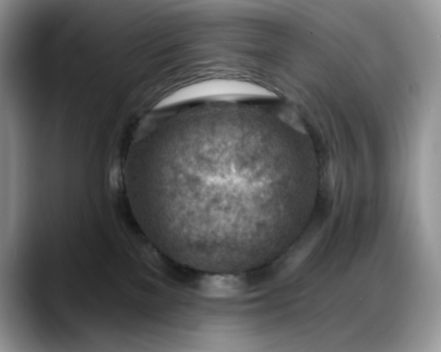X0000088160137200705291919