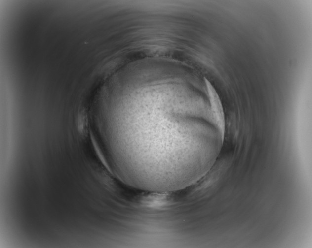 X0000088160138200705291919