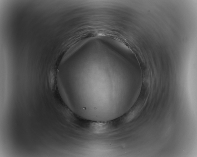 X0000088160139200705291919