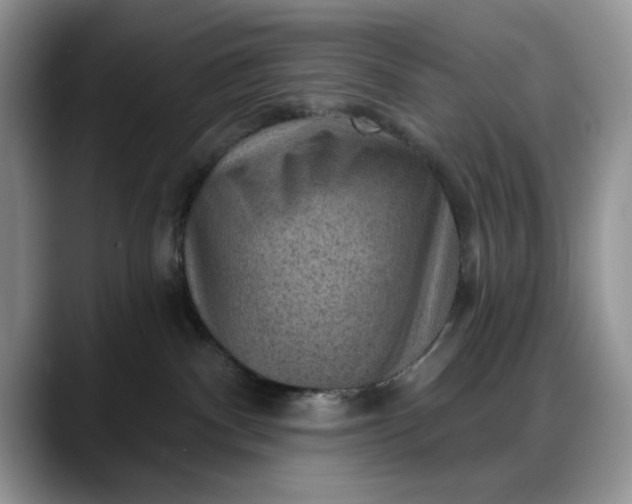 X0000088160140200705291919