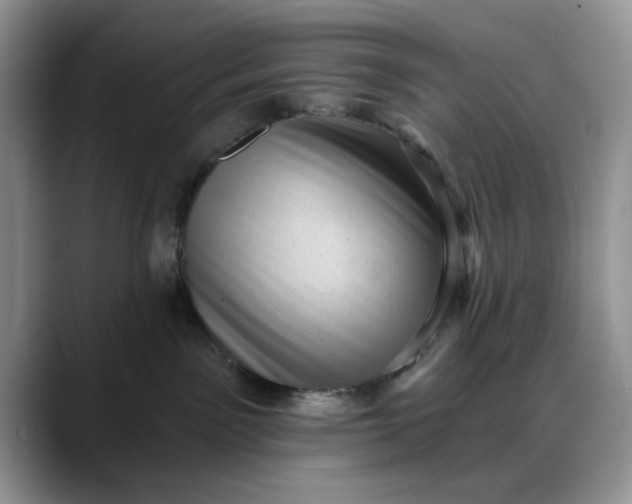 X0000088160141200705291919
