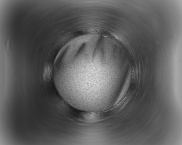 X0000088160142200705291919