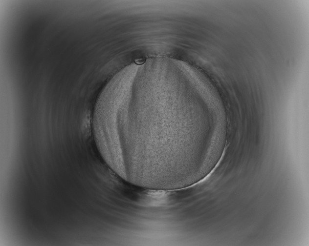 X0000088160144200705291919