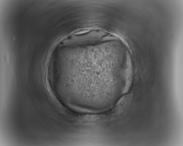 X0000088160145200705291918