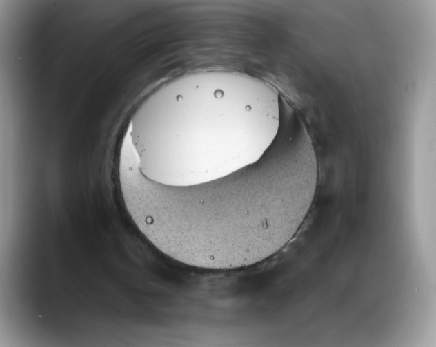 X0000088160146200705291918