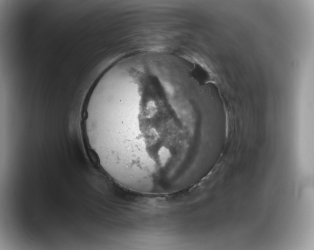 X0000088160147200705291918