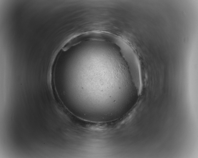 X0000088160148200705291918
