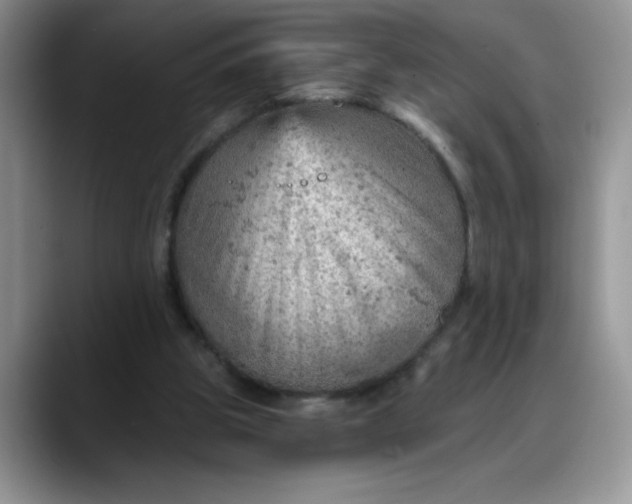 X0000088160153200705291918