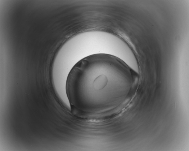 X0000088160154200705291918