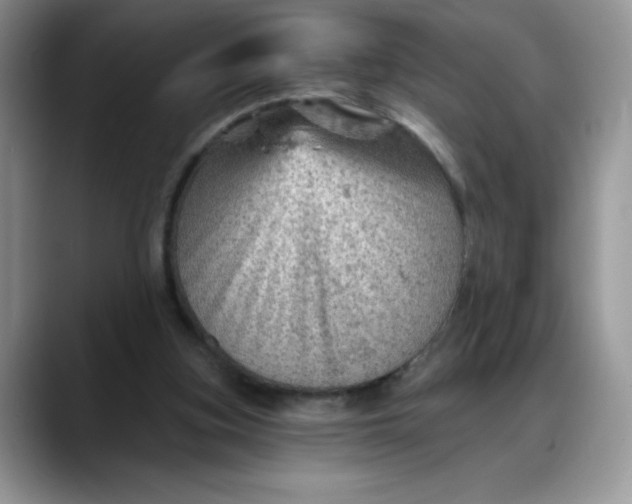 X0000088160155200705291918