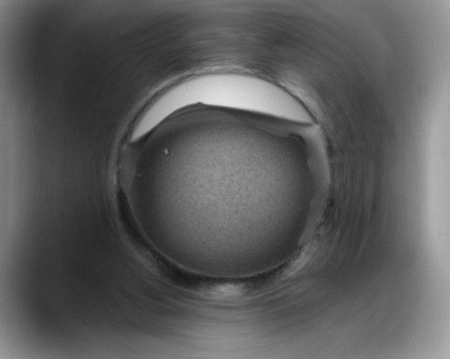 X0000088160156200705291918