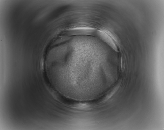 X0000088160157200705291918