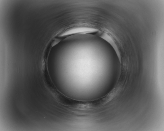 X0000088160160200705291919