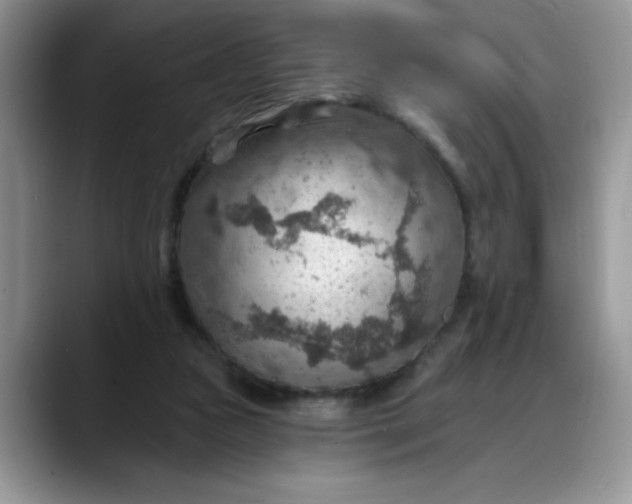 X0000088160161200705291919