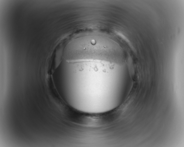 X0000088160164200705291919