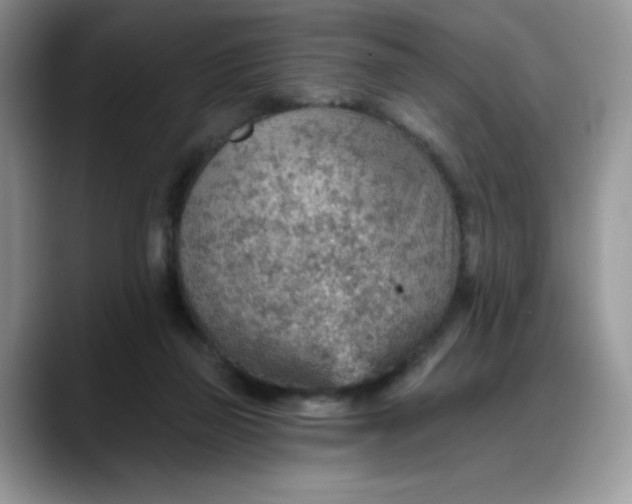 X0000088160165200705291919