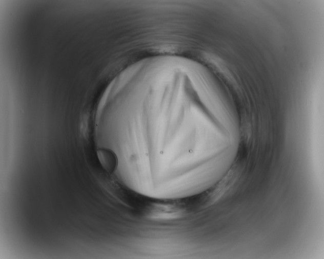 X0000088160167200705291919
