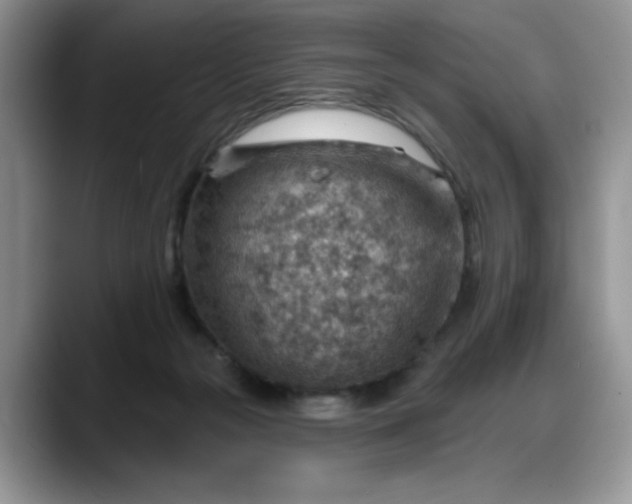 X0000088160169200705291919