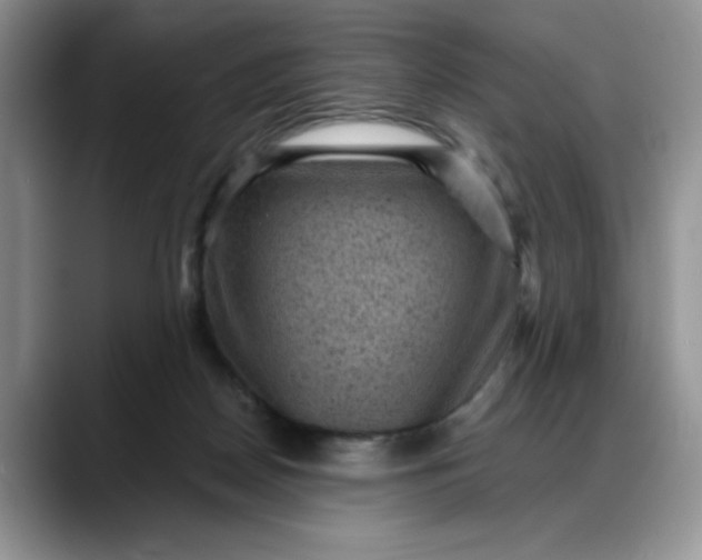 X0000088160170200705291919