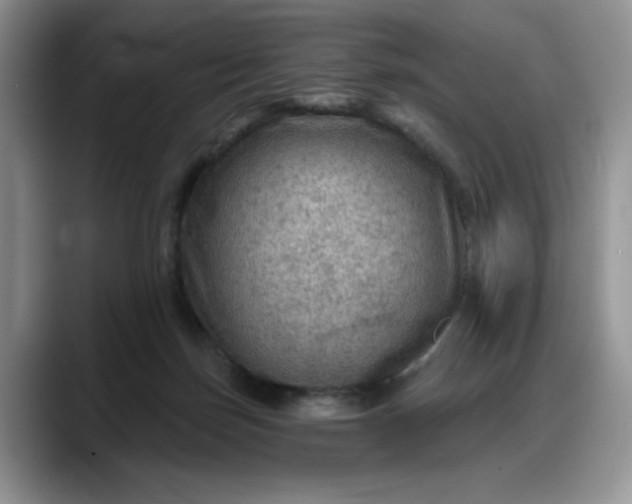 X0000088160171200705291919