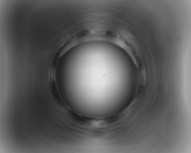 X0000088160172200705291919