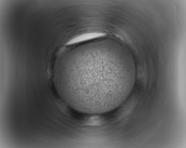 X0000088160173200705291919