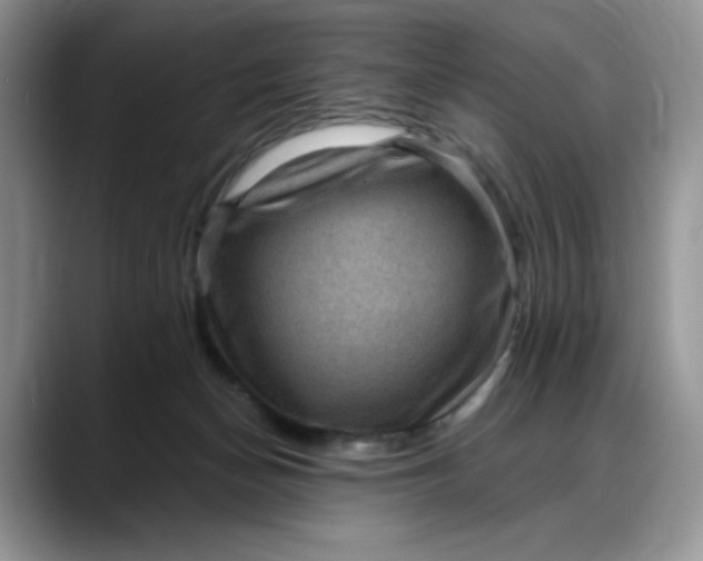 X0000088160174200705291919