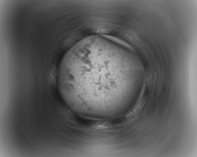 X0000088160175200705291919