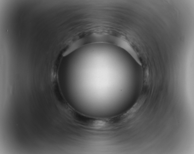 X0000088160176200705291919