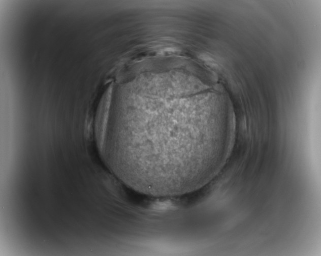 X0000088160177200705291919