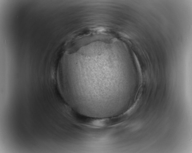 X0000088160178200705291919