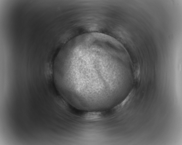 X0000088160179200705291919