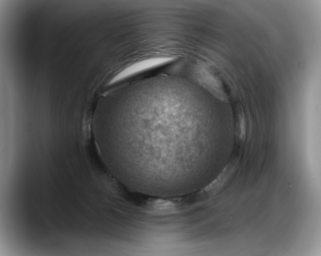 X0000088160180200705291919